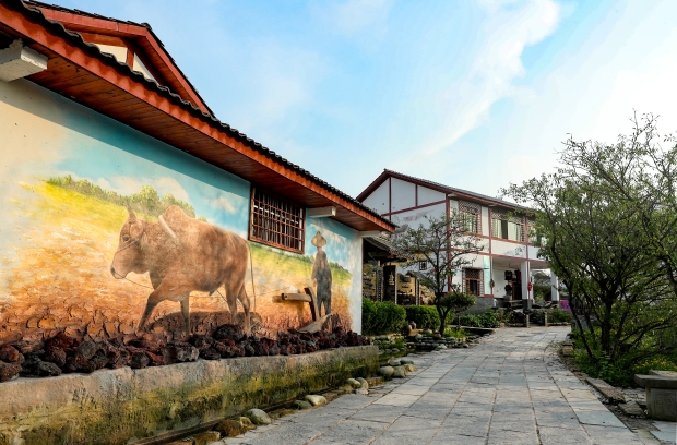 畫(huà)里鄉村----四川省華鎣市祿市鎮鄉村治理側記配圖[3].jpg