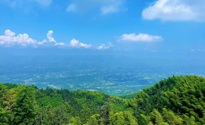 重慶銅梁：萬(wàn)畝竹海 筍香林幽 清涼度假好去處