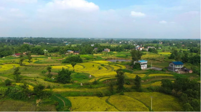 重慶榮昌啟動(dòng)“十百千萬(wàn)”工程 未來(lái)四年繪新景